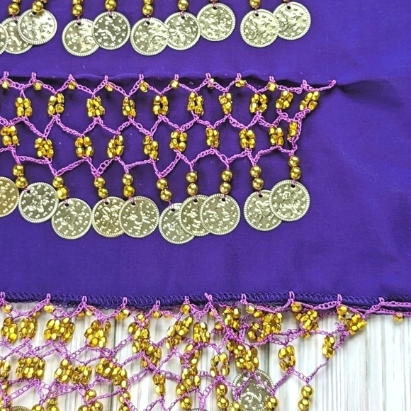 Chiffon Beaded Three Row Coin Festival Belt Scarf Wrap in Purple and Gold - Picture 10 of 14